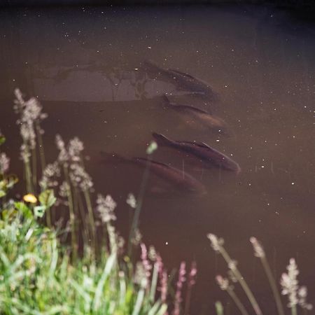 Hotel Der Seehof ハウツェンベルク エクステリア 写真