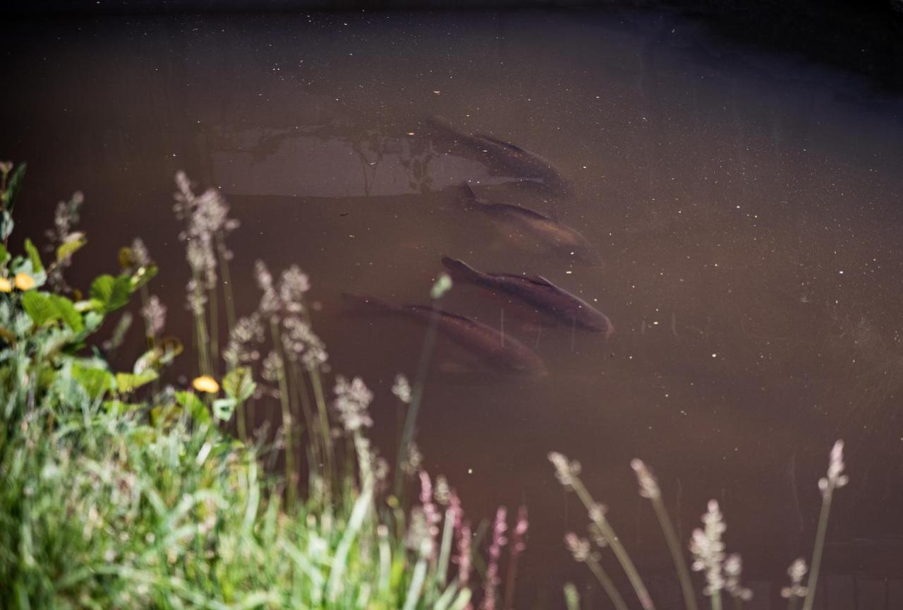 Hotel Der Seehof ハウツェンベルク エクステリア 写真