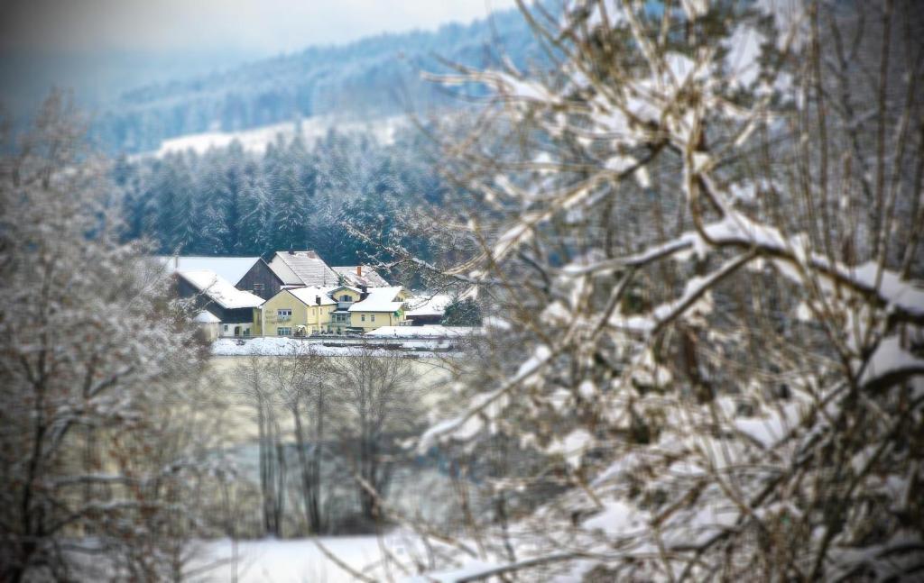 Hotel Der Seehof ハウツェンベルク エクステリア 写真